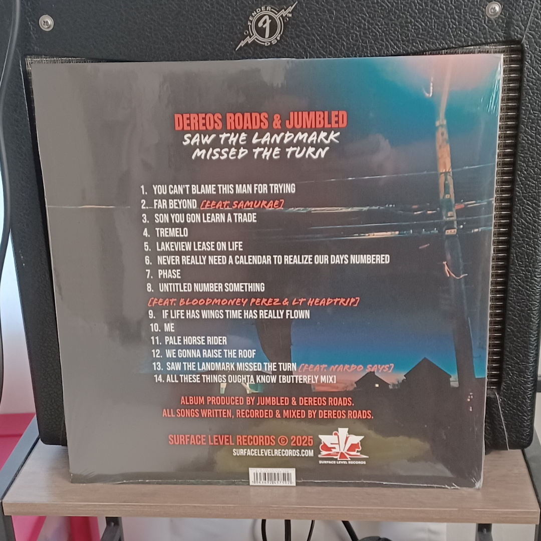 Saw the Landmark Missed the Turn (LP)